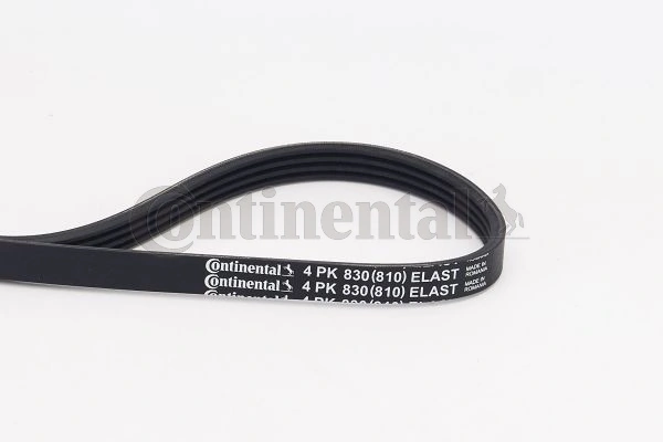 V-ribbed Belt